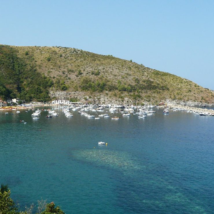 Il Porto